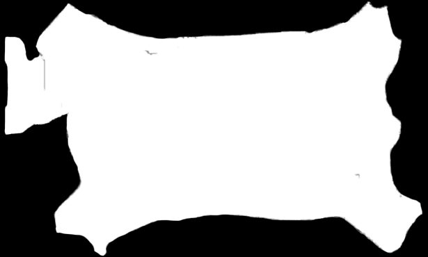 Copperfield (1850). Dickens was         ‘sheep’s wool paper,’ was distrib-    circulated through the ranks,
